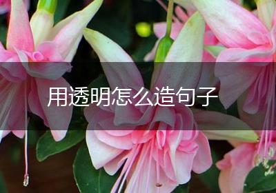 用透明怎么造句子