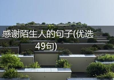 感谢陌生人的句子(优选49句)