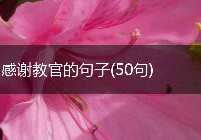 感谢教官的句子(50句)