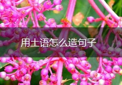 用土语怎么造句子