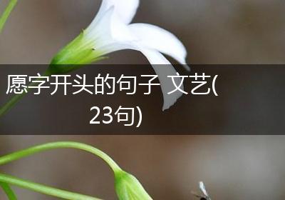 愿字开头的句子 文艺(23句)