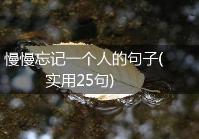 慢慢忘记一个人的句子(实用25句)
