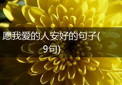愿我爱的人安好的句子(9句)