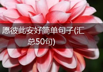 愿彼此安好简单句子(汇总50句)