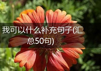 我可以什么补充句子(汇总50句)