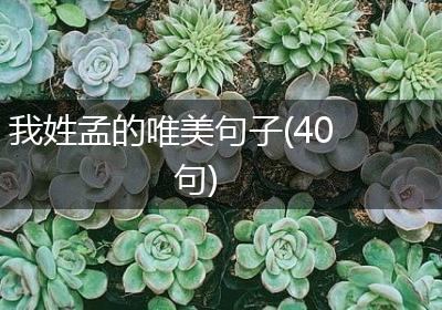 我姓孟的唯美句子(40句)