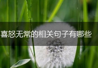 喜怒无常的相关句子有哪些