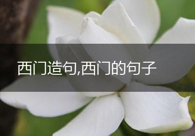 西门造句,西门的句子