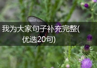 我为大家句子补充完整(优选20句)