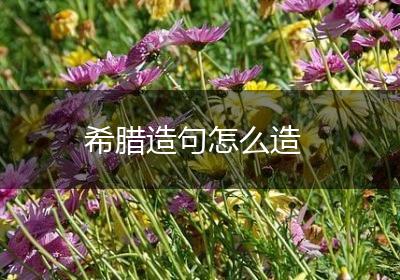 希腊造句怎么造