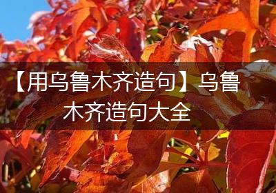 【用乌鲁木齐造句】乌鲁木齐造句大全