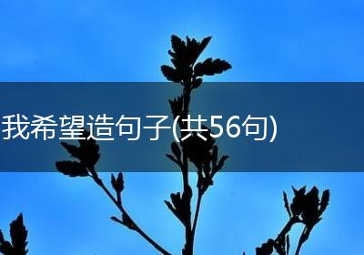 我希望造句子(共56句)