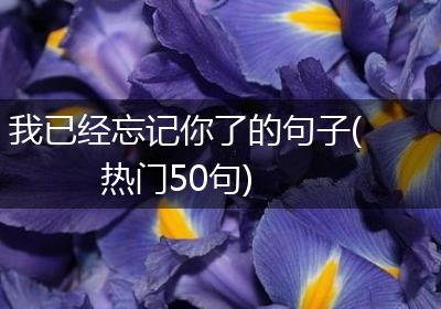 我已经忘记你了的句子(热门50句)