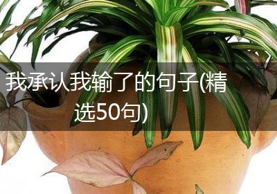 我承认我输了的句子(精选50句)