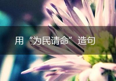 用“为民请命”造句