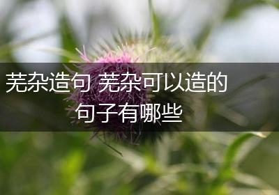芜杂造句 芜杂可以造的句子有哪些