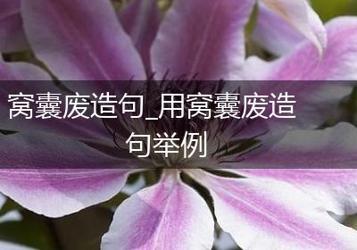 窝囊废造句_用窝囊废造句举例