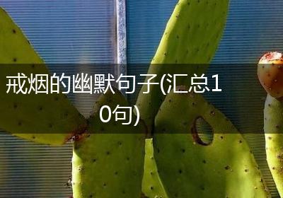 戒烟的幽默句子(汇总10句)