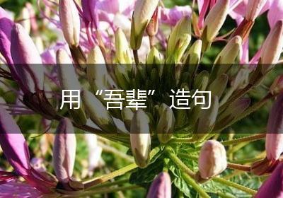 用“吾辈”造句