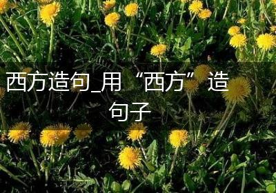 西方造句_用“西方”造句子