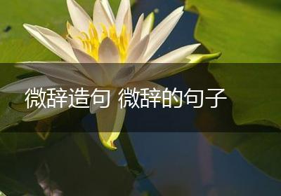 微辞造句 微辞的句子