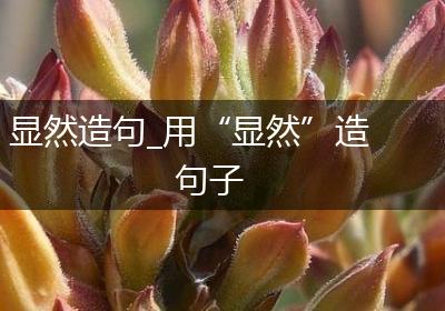 显然造句_用“显然”造句子
