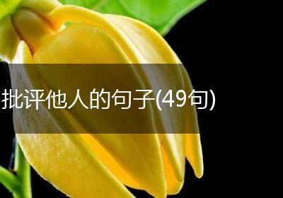 批评他人的句子(49句)