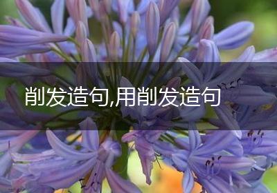 削发造句,用削发造句