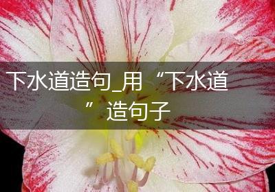 下水道造句_用“下水道”造句子