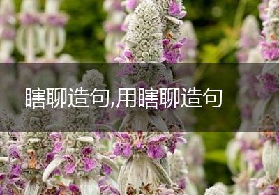 瞎聊造句,用瞎聊造句