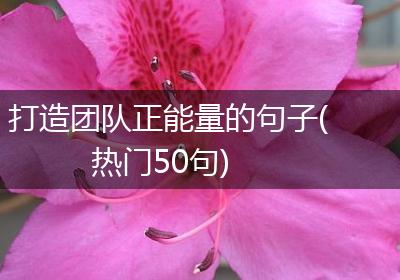 打造团队正能量的句子(热门50句)