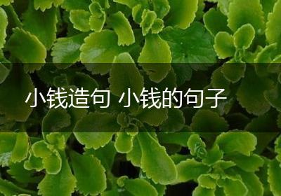 小钱造句 小钱的句子