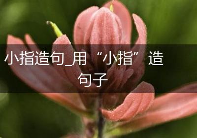 小指造句_用“小指”造句子