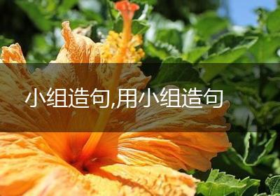 小组造句,用小组造句