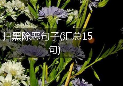 扫黑除恶句子(汇总15句)