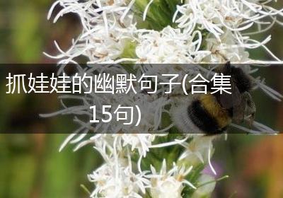 抓娃娃的幽默句子(合集15句)