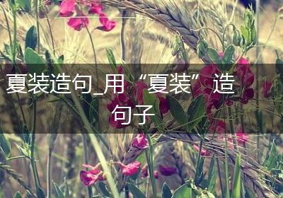 夏装造句_用“夏装”造句子