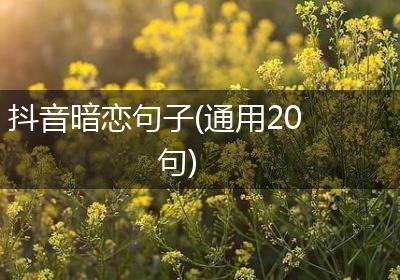 抖音暗恋句子(通用20句)