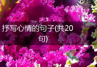 抒写心情的句子(共20句)