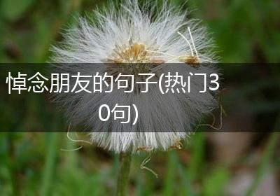 悼念朋友的句子(热门30句)