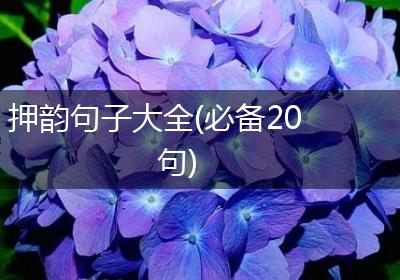 押韵句子大全(必备20句)