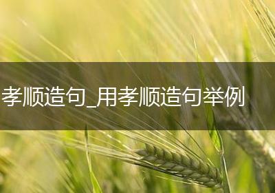 孝顺造句_用孝顺造句举例