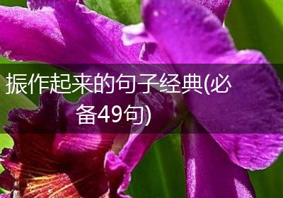 振作起来的句子经典(必备49句)