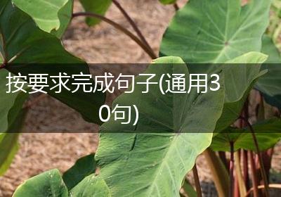 按要求完成句子(通用30句)