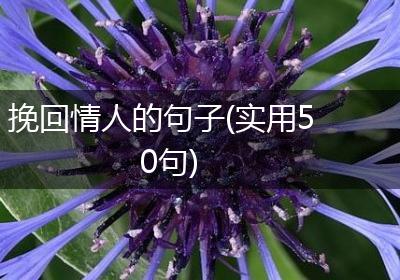 挽回情人的句子(实用50句)