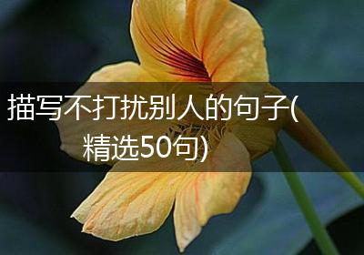 描写不打扰别人的句子(精选50句)