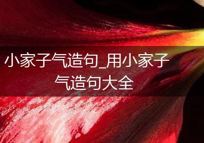 小家子气造句_用小家子气造句大全
