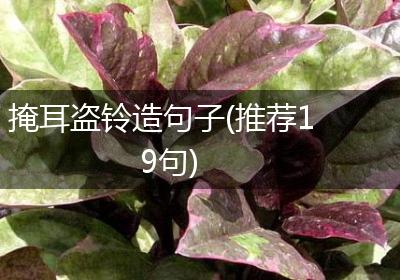 掩耳盗铃造句子(推荐19句)