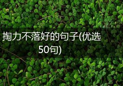 掏力不落好的句子(优选50句)