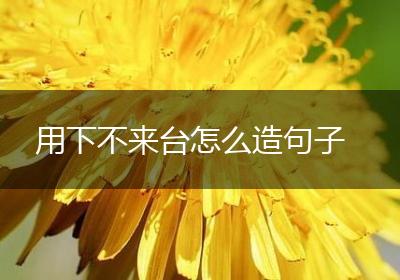 用下不来台怎么造句子